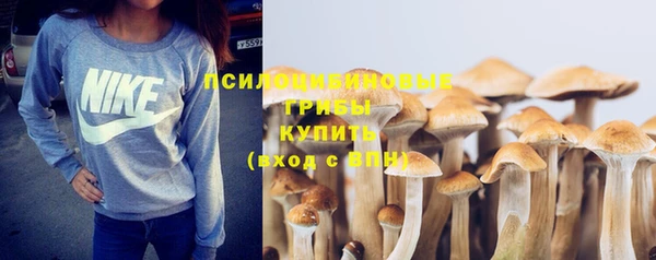 герыч Бронницы