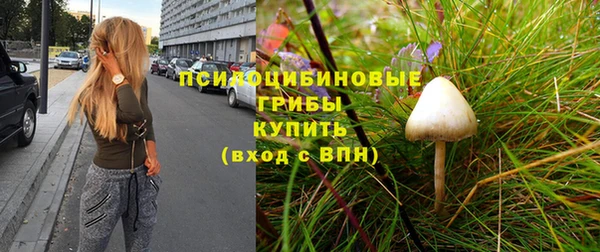 герыч Бронницы
